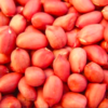 Wholesale Raw Redskin Peanuts 