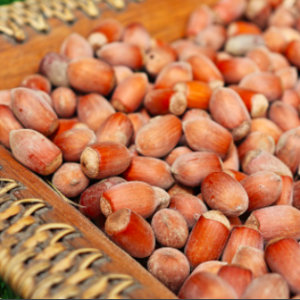 Wholesale Raw Hazelnuts Suppliers