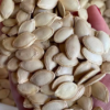 Wholesale Squash Seeds Supplier